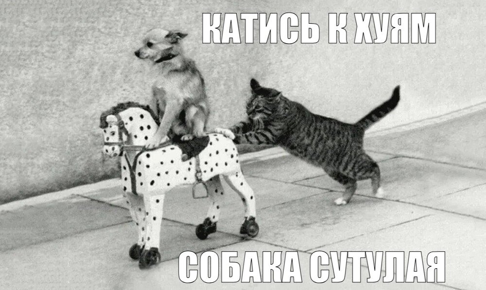 katis